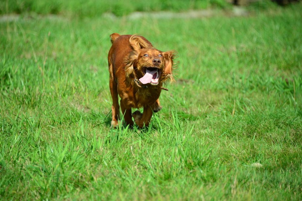 Photograph by Дмитрий Юдин