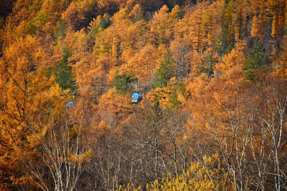 Photograph by Дмитрий Юдин