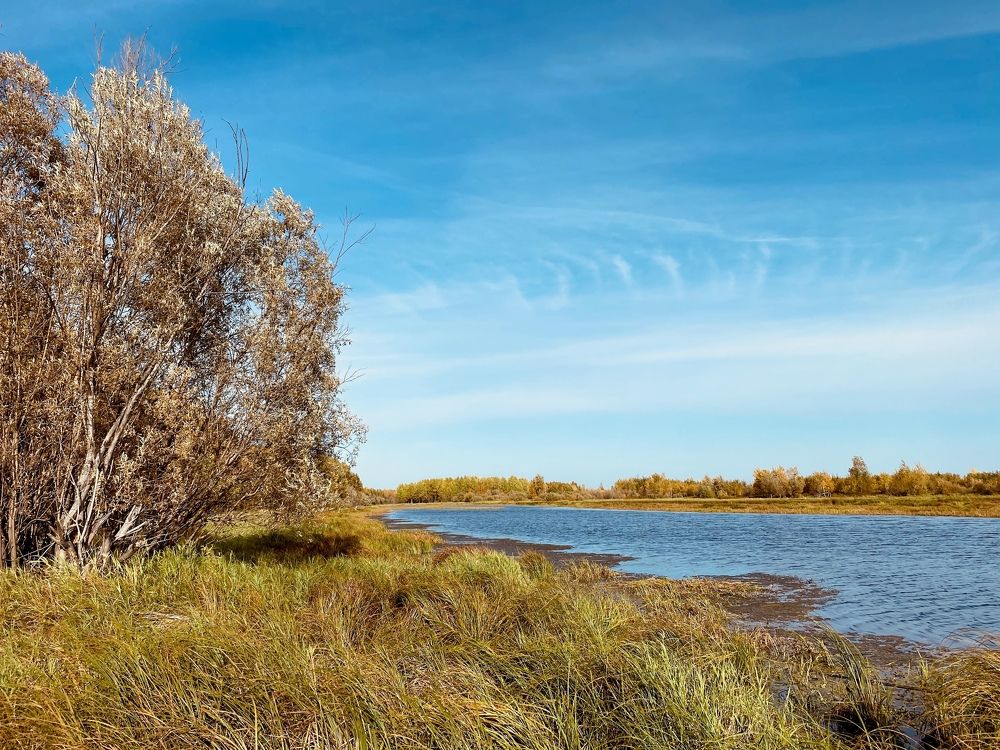 Просторы русской души