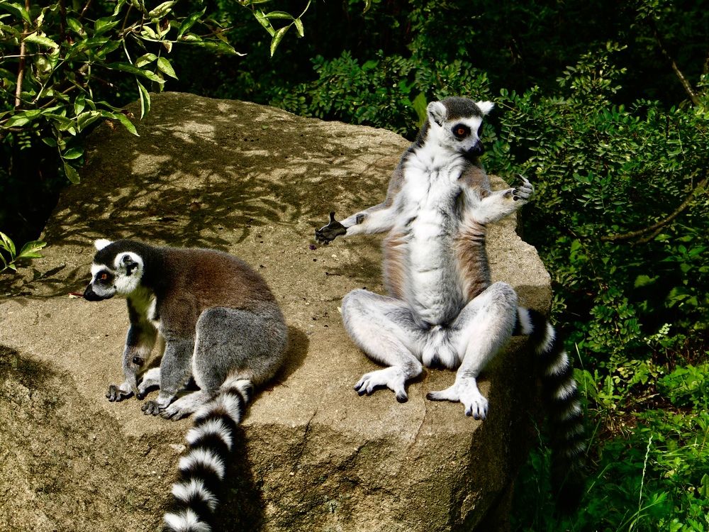 Photograph by Наталья Дмитриева