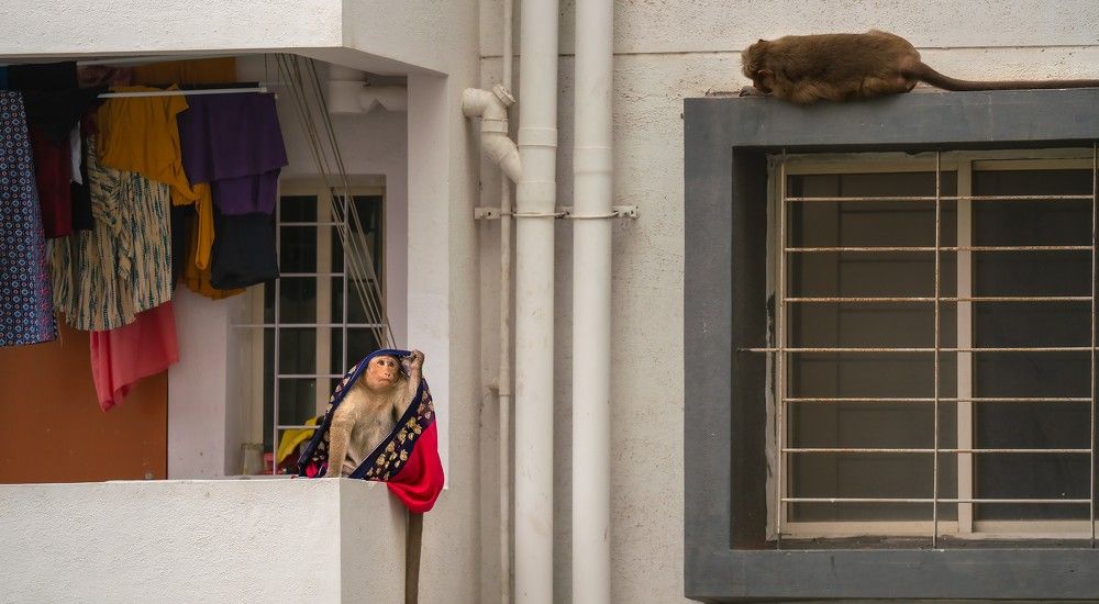 Photograph by Ayan Bhattacharya