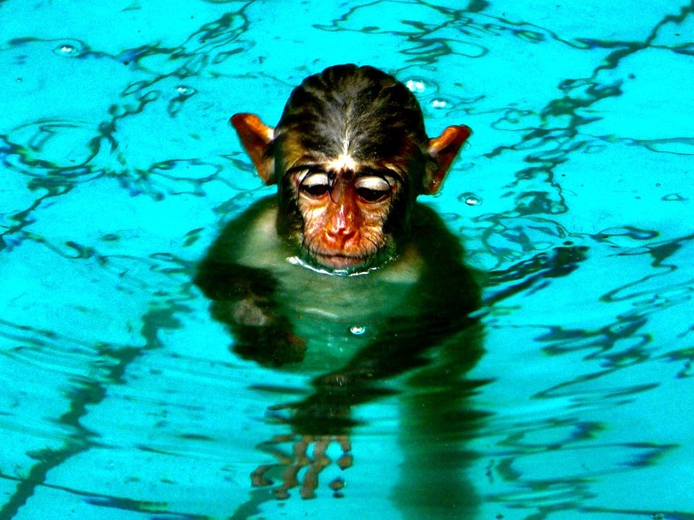 Photograph by Наталья Дмитриева