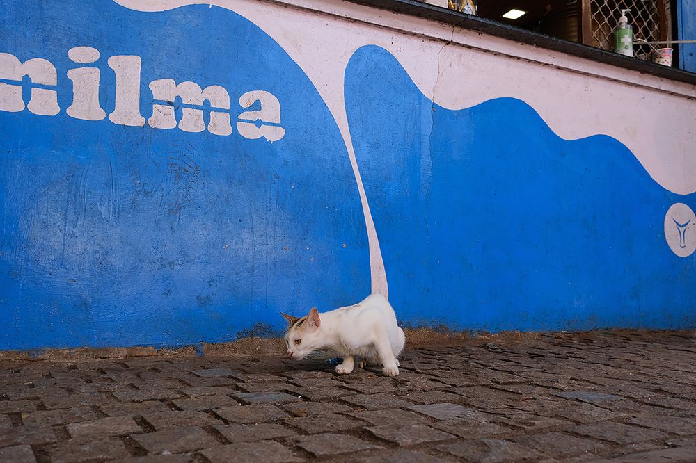 Photograph by devaraj devan