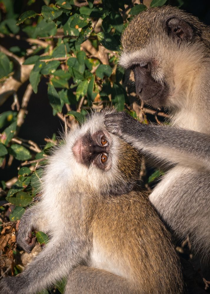 Photograph by João Paulo de Oliveira Freitas