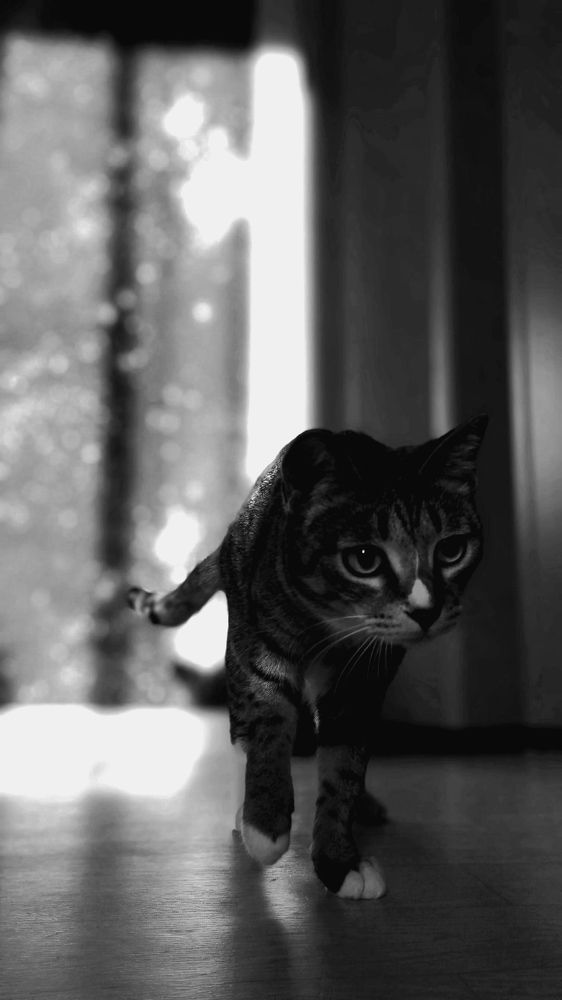 Photograph by Диана Пустынцева