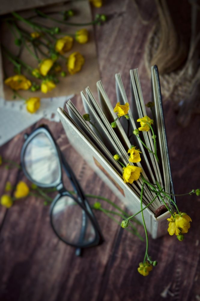 Photograph by Тамара Аржанова