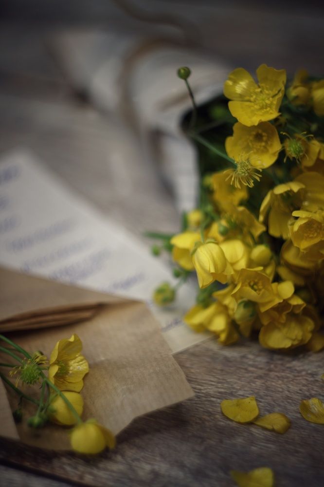 Photograph by Тамара Аржанова