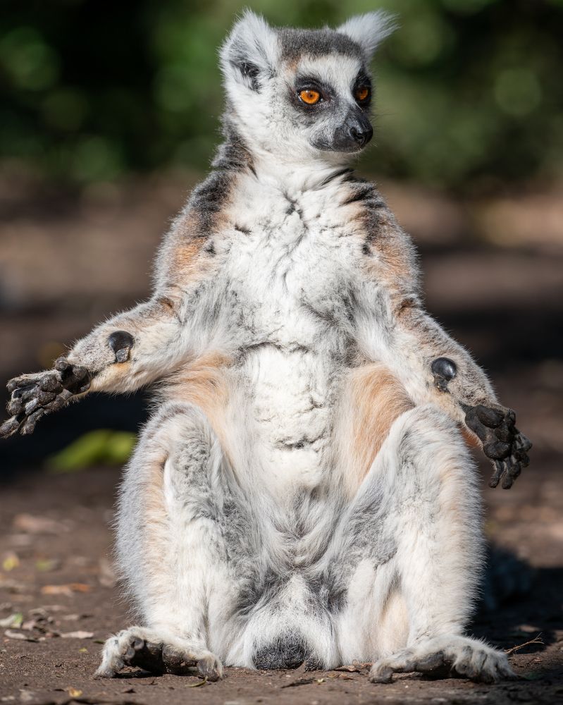 Photograph by João Paulo de Oliveira Freitas