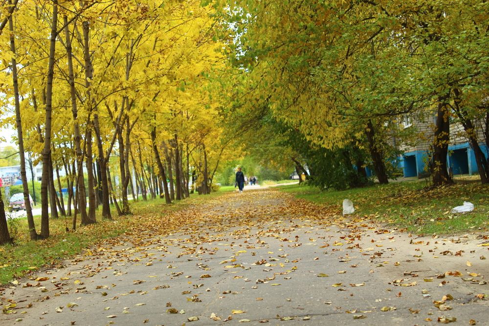 Photograph by Иван Крылов