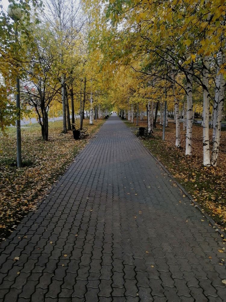 Photograph by Виталий Са