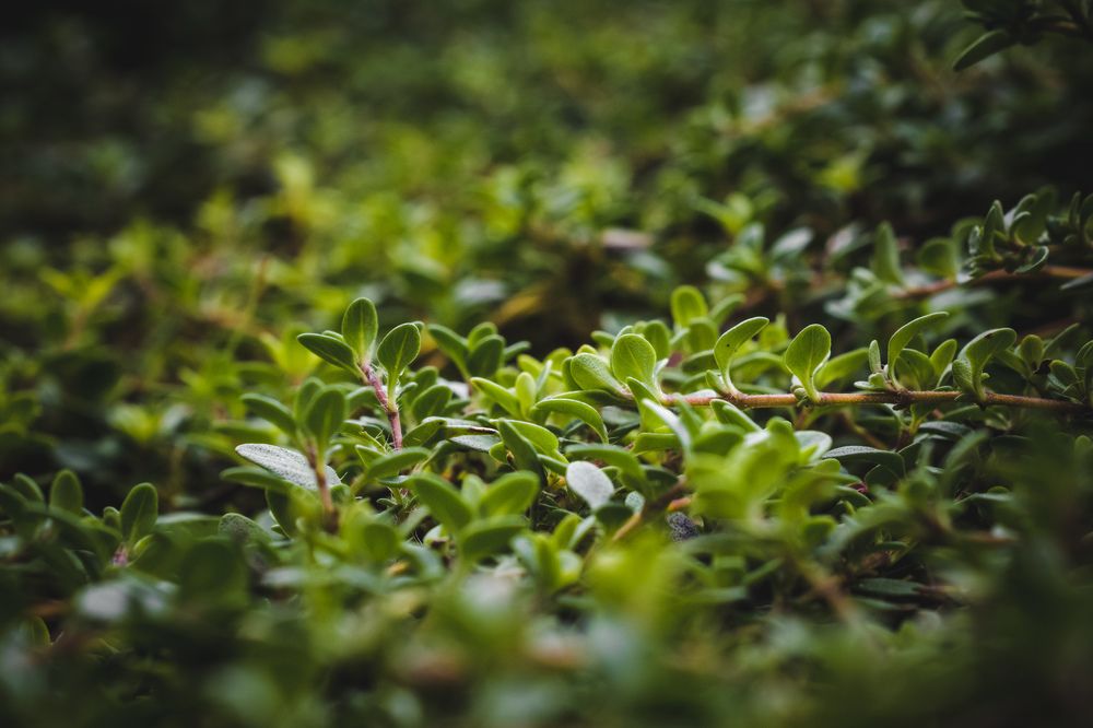 Photograph by Николай Головко