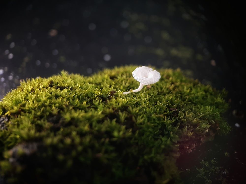 Photograph by Lahiru Prasanna