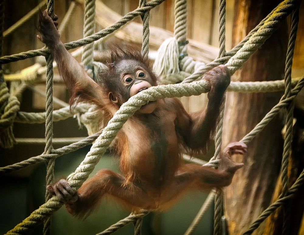 Photograph by Александр