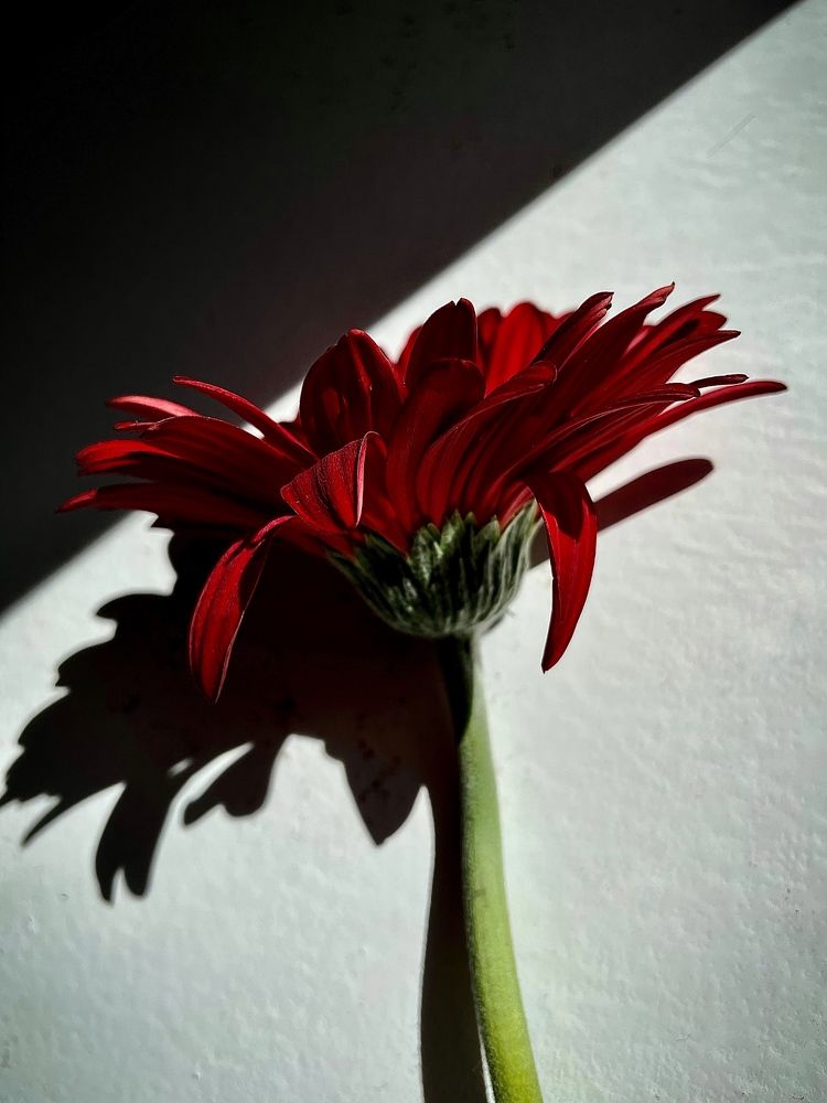 Фотография автора Рамзия Хисамутдинова