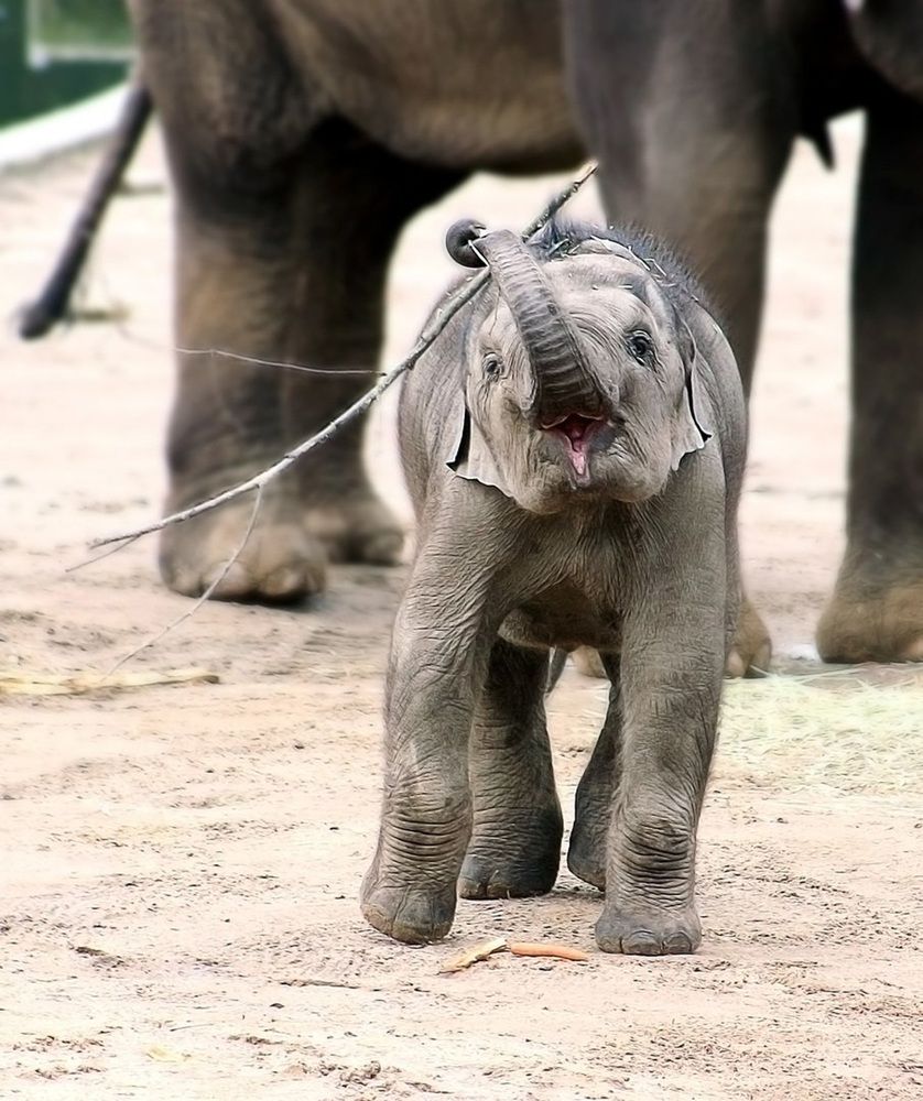 Photograph by Александр