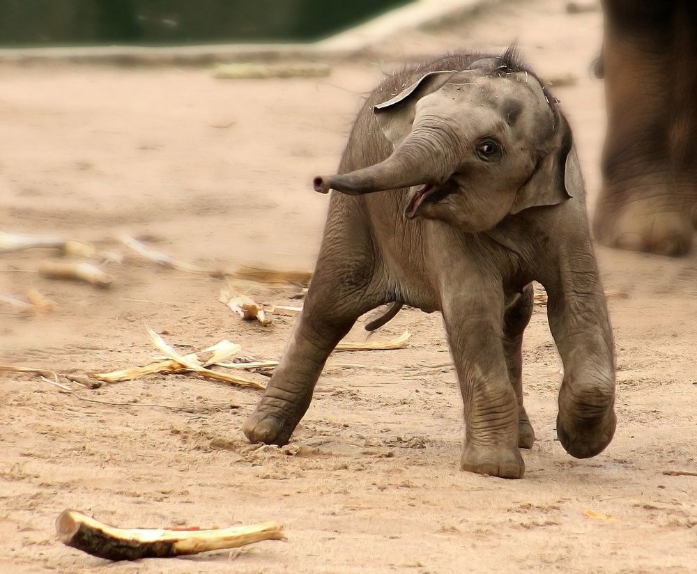 Photograph by Александр