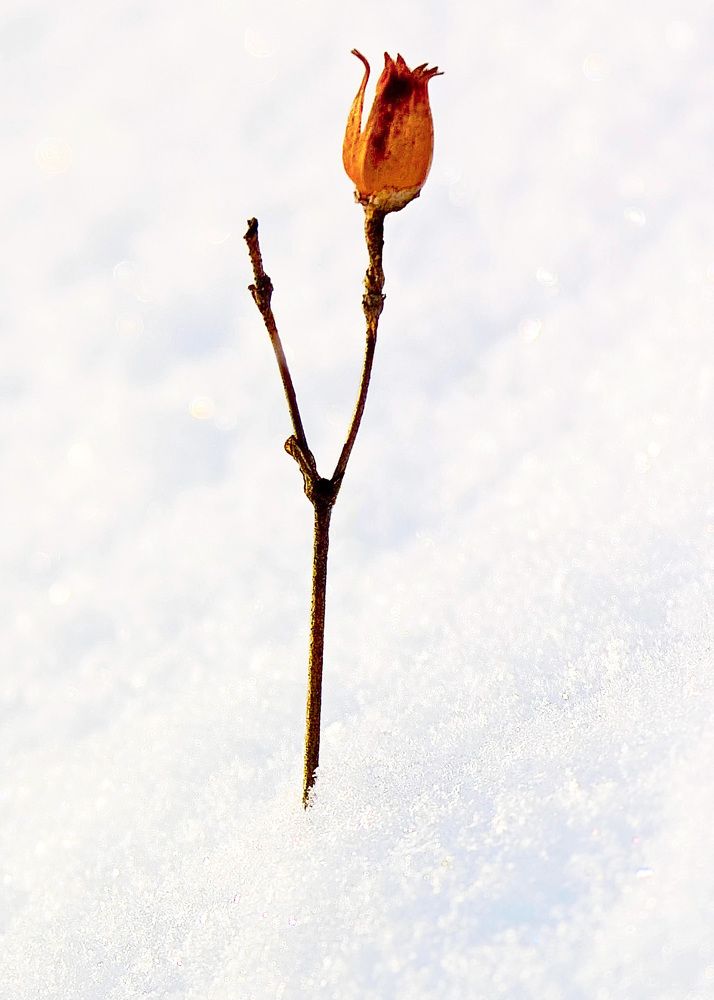 После метели