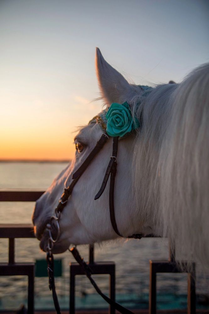 Photograph by Анастасия Смирнова