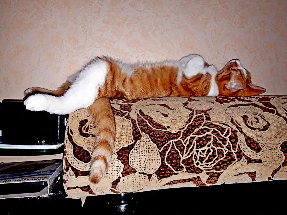 Photograph by Дмитрий Симагин