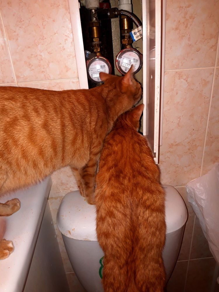 Photograph by Дмитрий Симагин