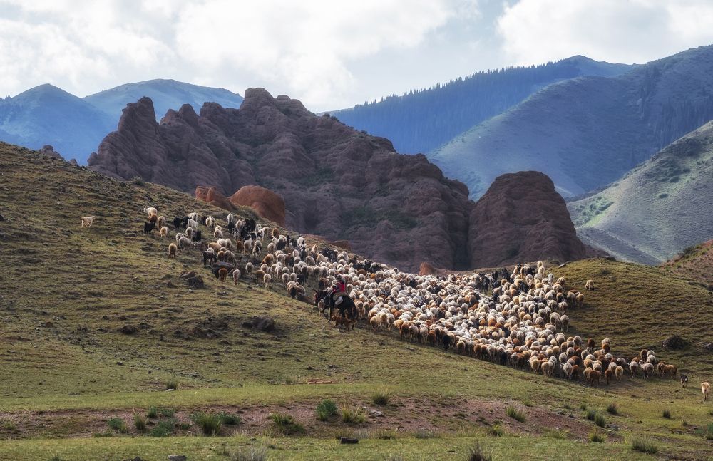 Photograph by Светлана Краюшкина