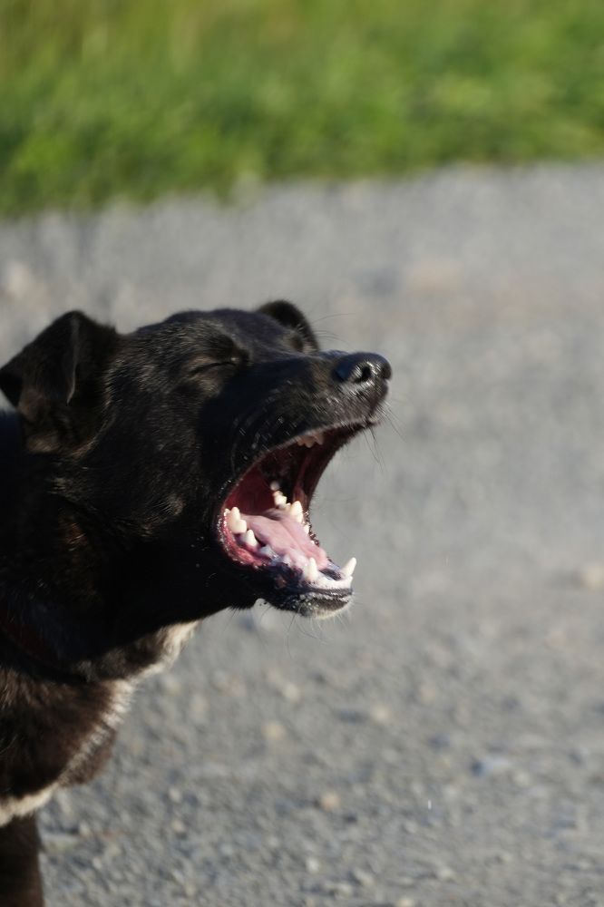 Photograph by Дарья Ринас