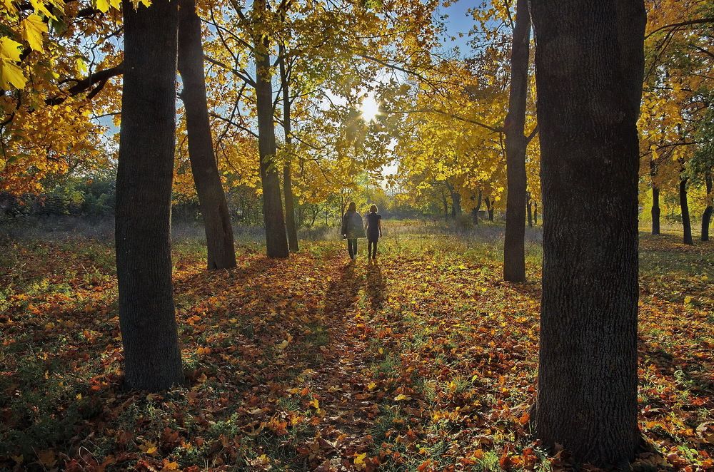 Photograph by Анатолий Святой