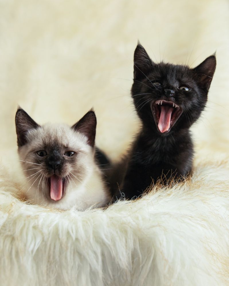 Photograph by Irina Kartoshova