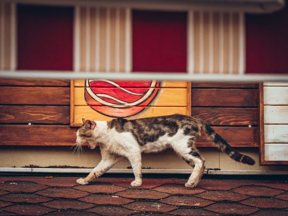 Photograph by Anton Krol