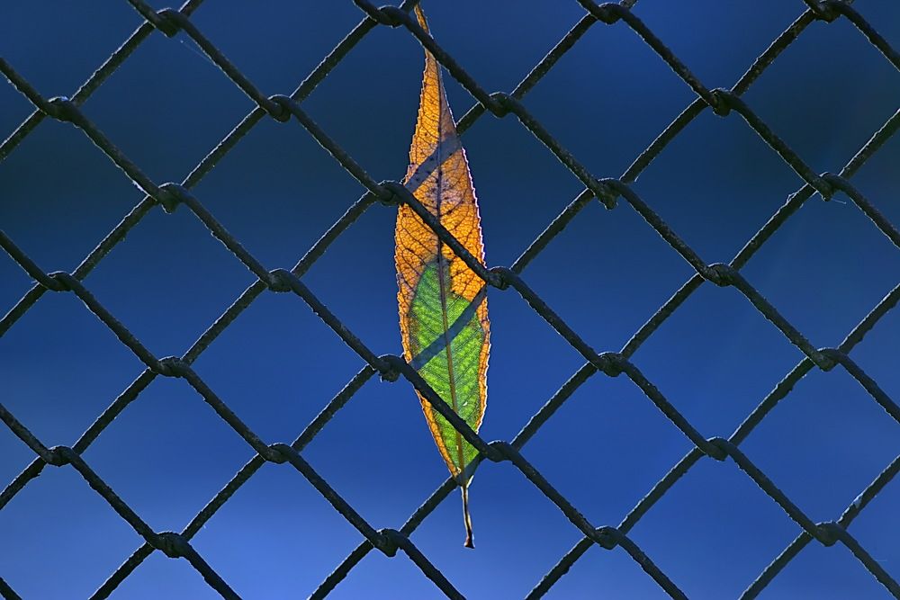 Photograph by Анатолий Святой