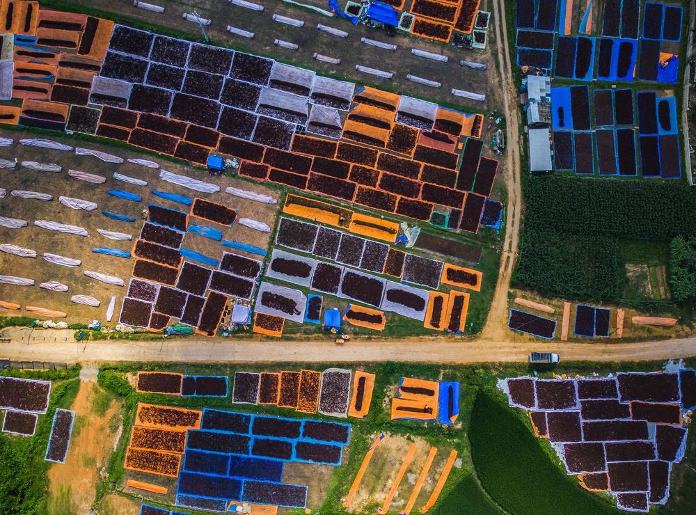 Photograph by Minh Chu Van