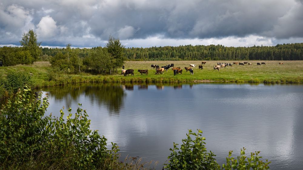 Photograph by Владимир Карпов
