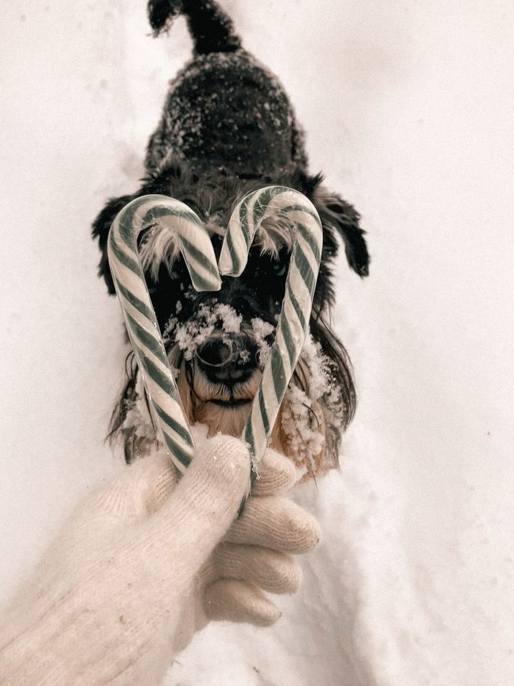 Photograph by Olivka Ulyanova
