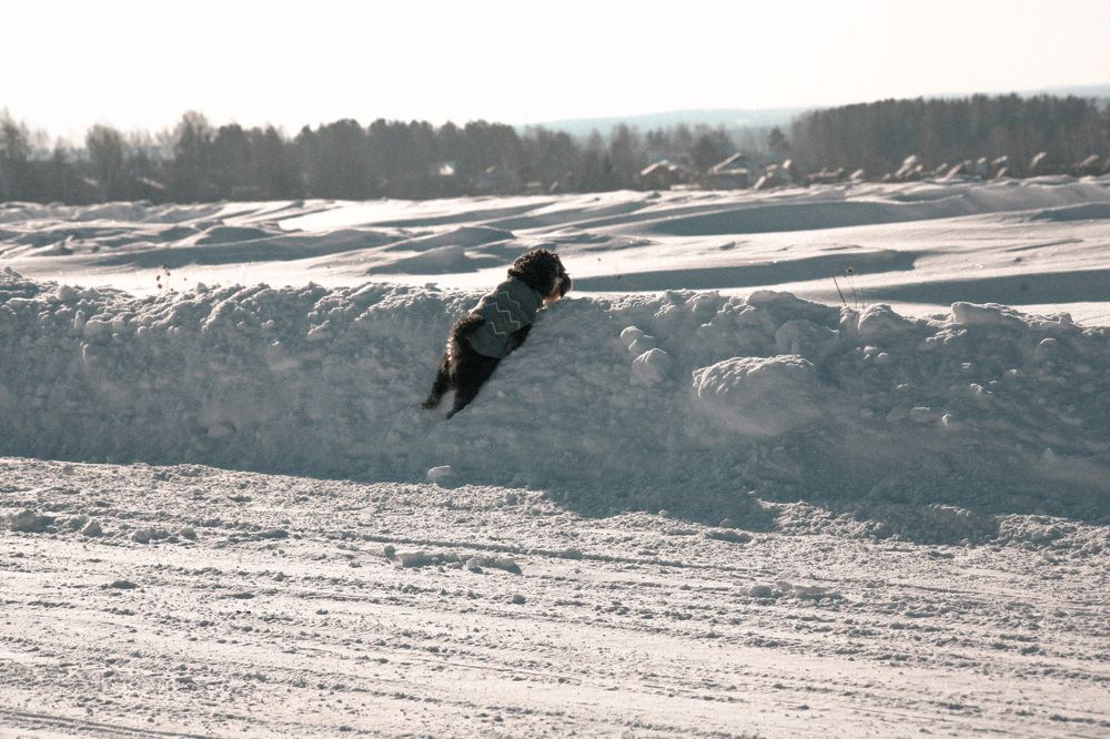 Photograph by Olivka Ulyanova