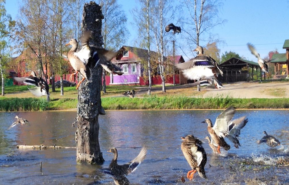 Photograph by Марина Артемьева