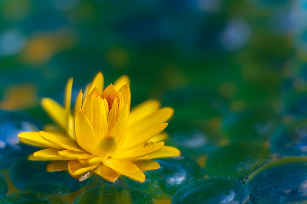 Photograph by Николай Фонарёв