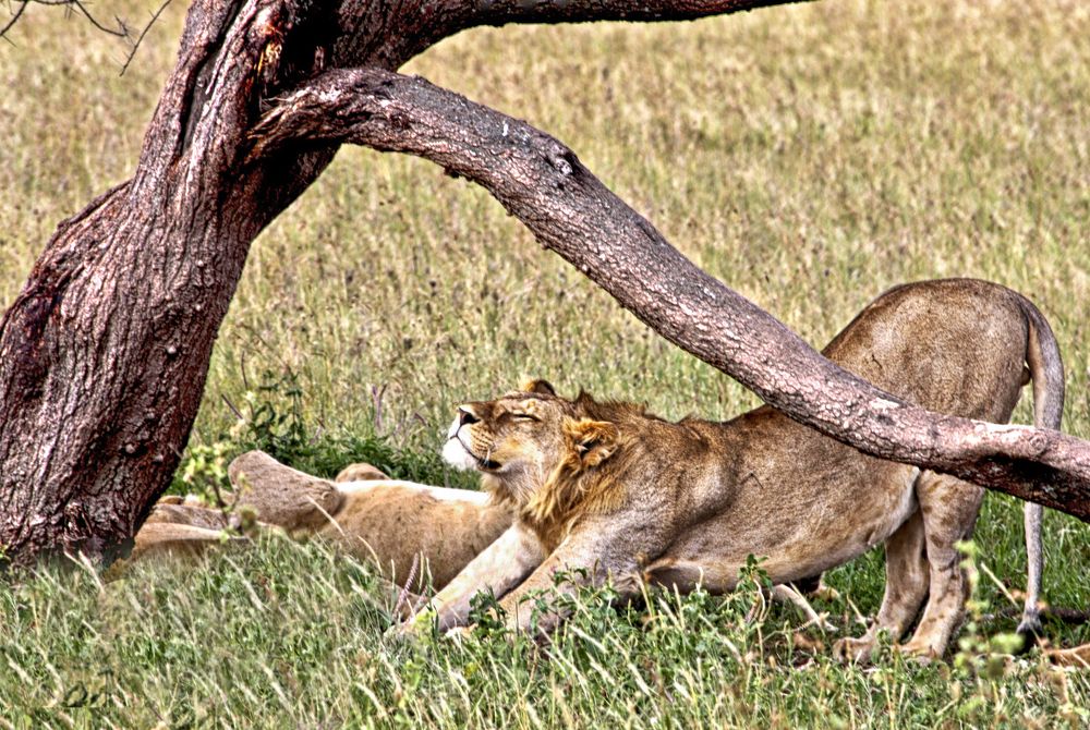 Photograph by Drora Baharal