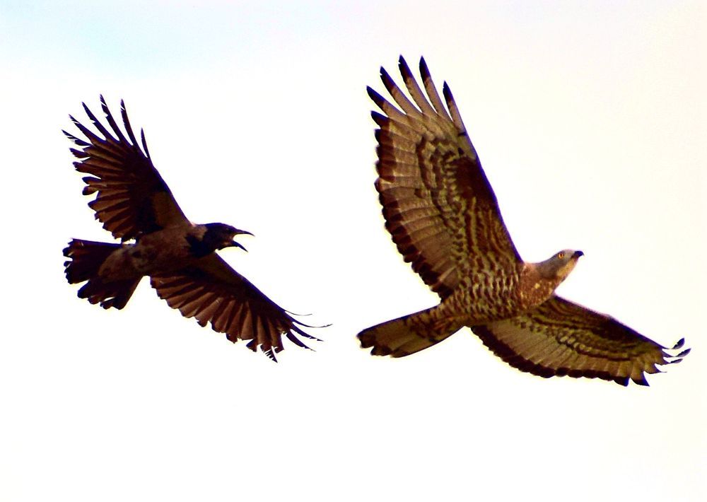 Photograph by Александр Шувалов