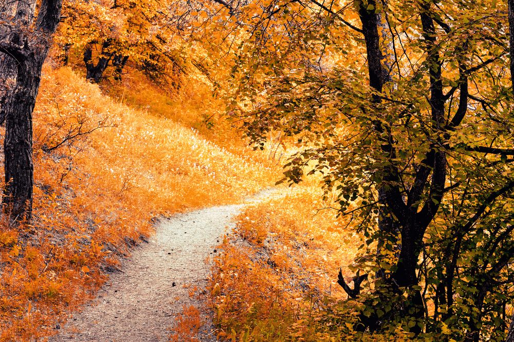 Photograph by Adam Yandiev