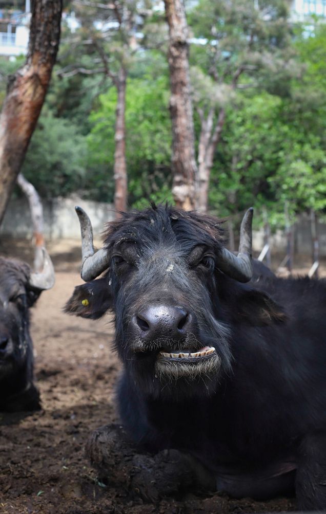 Photograph by Дарья Попова