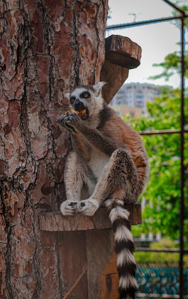 Photograph by Дарья Попова