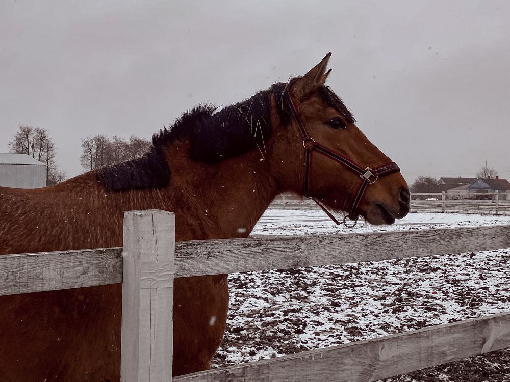 Photograph by Uladzimir Hvozd