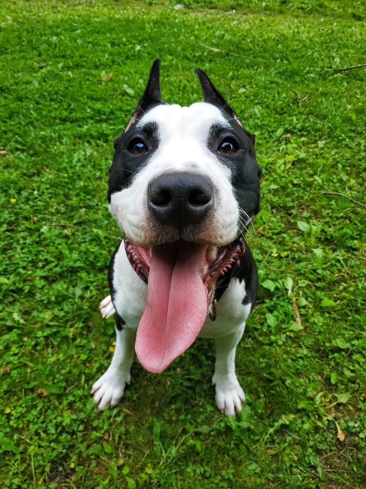 Photograph by Зачепило Евгений