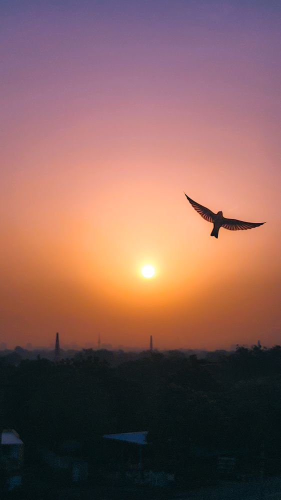 Photograph by Nilkanth Donga