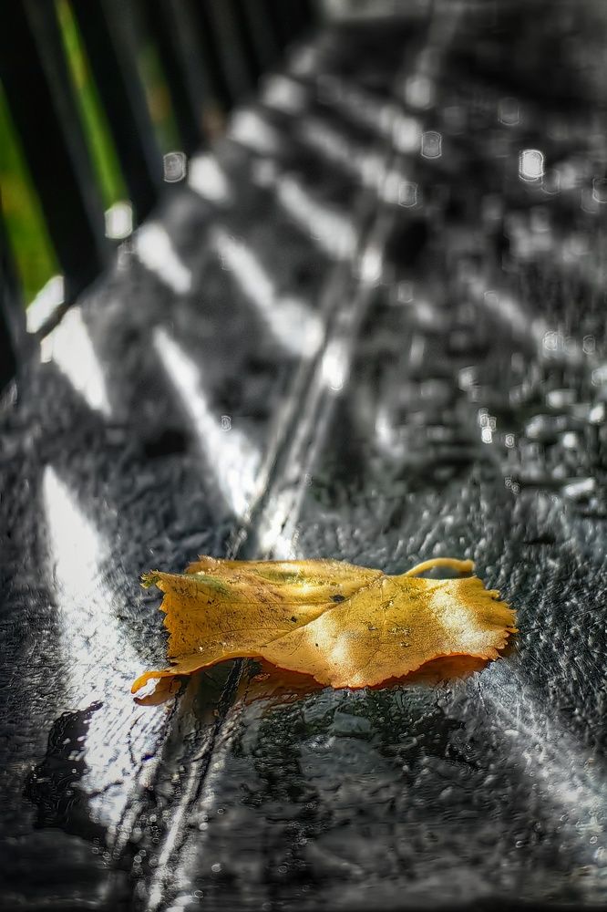 Photograph by Татьяна Бравая