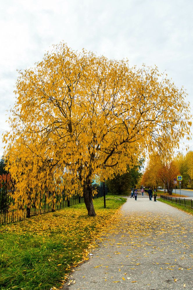 Photograph by Дмитрий Петров