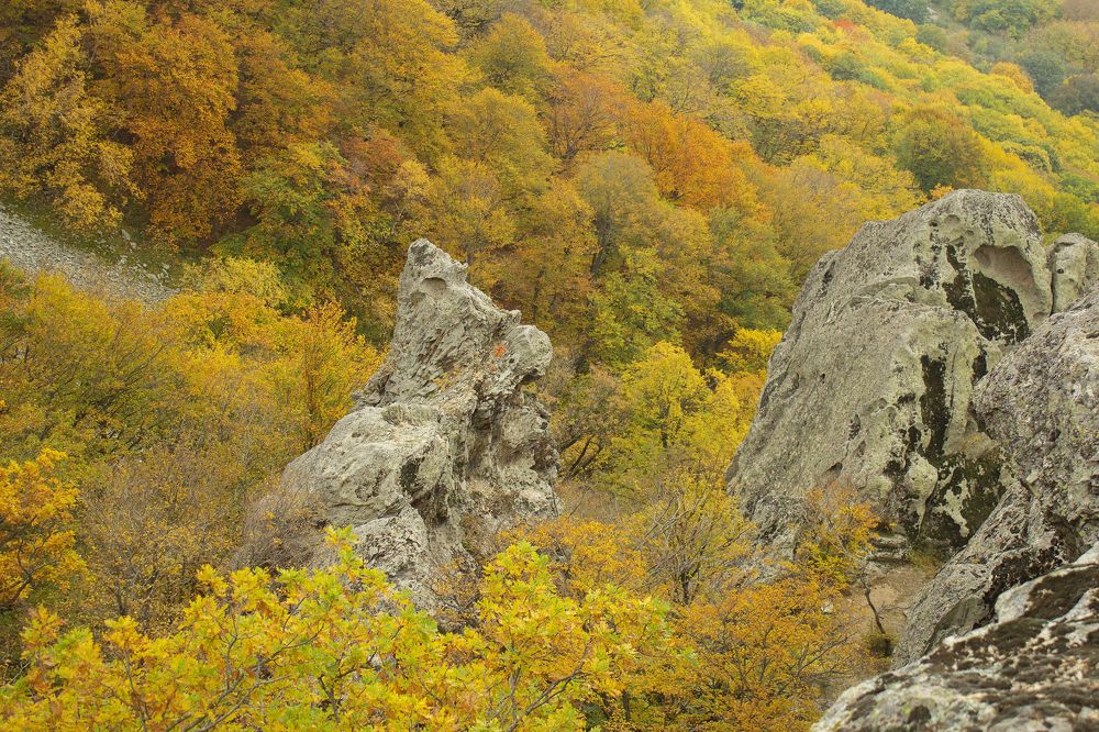 Photograph by Дина Железнова