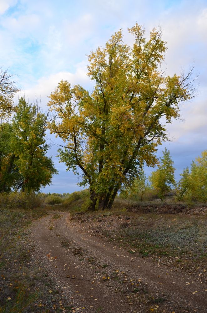 Photograph by Юрий Курынов