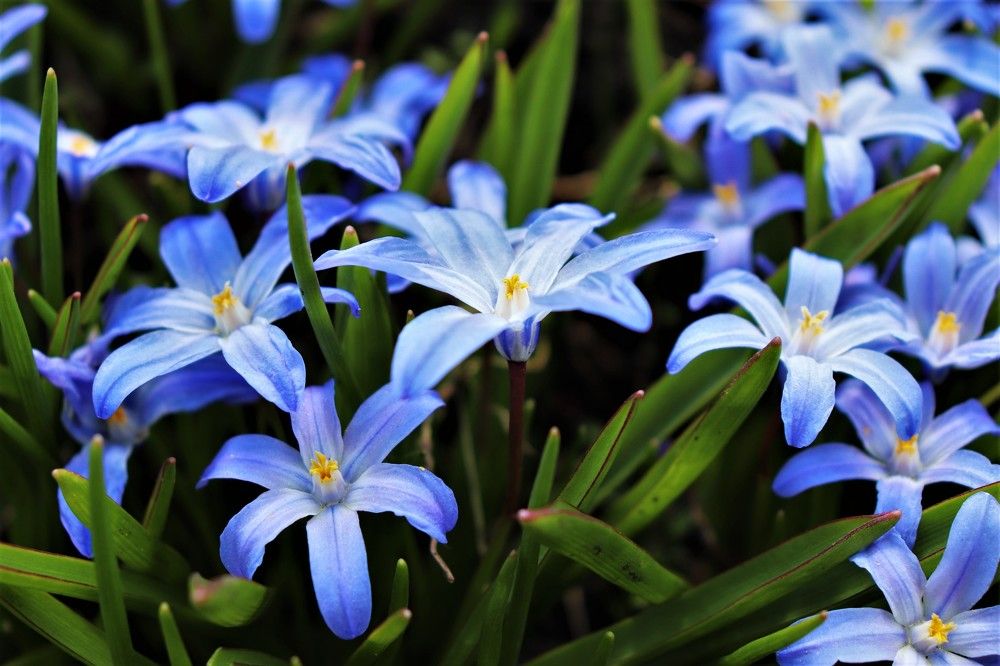 Photograph by Федоренко Элеонора