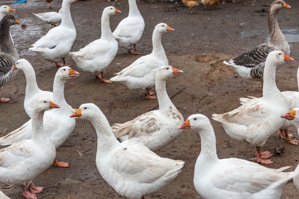 Photograph by Valery Kleymenov